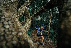 BIB: 
                            <button type="button" onclick="openModal(25704891)" class="btn btn-primary btn-sm float-right btn-popup" data-toggle="modal" data-target=".modal-high-quality">
                        <i class="fas fa-shopping-cart"></i> Add to Cart
                    </button>
                                            <button type="button" onclick="isThisMe(25704891, true)" class="btn btn-success btn-sm float-right btn-popup btn-isme hidden" data-toggle="tooltip" data-placement="bottom" title="นี่คือรูปของคุณใช่ไหม คลิกที่นี่เพื่อเอาเข้าอัลบั้ม">
                        <i class="fas fa-plus"></i> Add to album
                    </button>
                    <button type="button" onclick="isThisMe(25704891, false)" class="btn btn-warning btn-sm float-right btn-popup btn-isnotme hidden">
                        <i class="fas fa-ban"></i> Remove from album
                    </button>